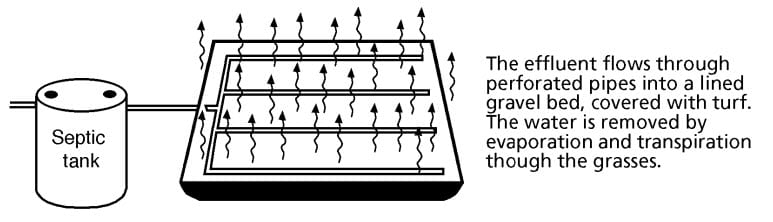 Evapotranspiration beds