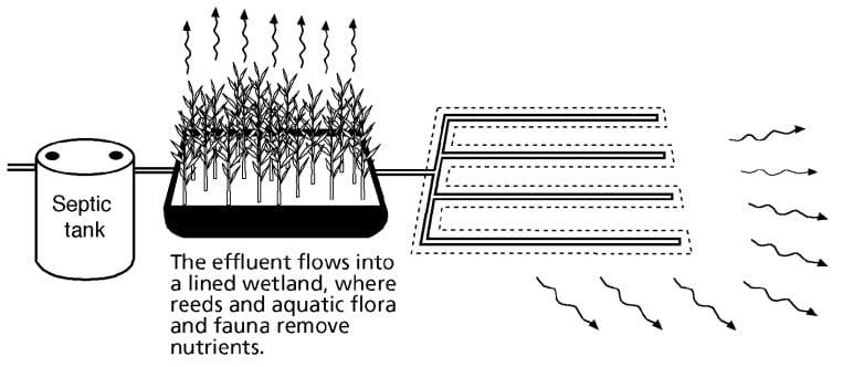 wetland treatment systems