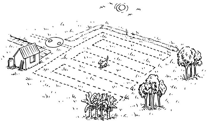 septic drain field